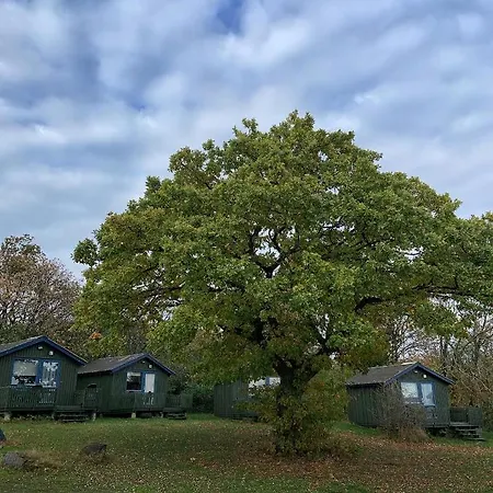营地 Camping & *
