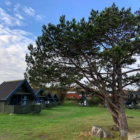 Camping & キャンプ場