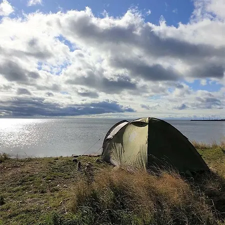 Camping & 넥소